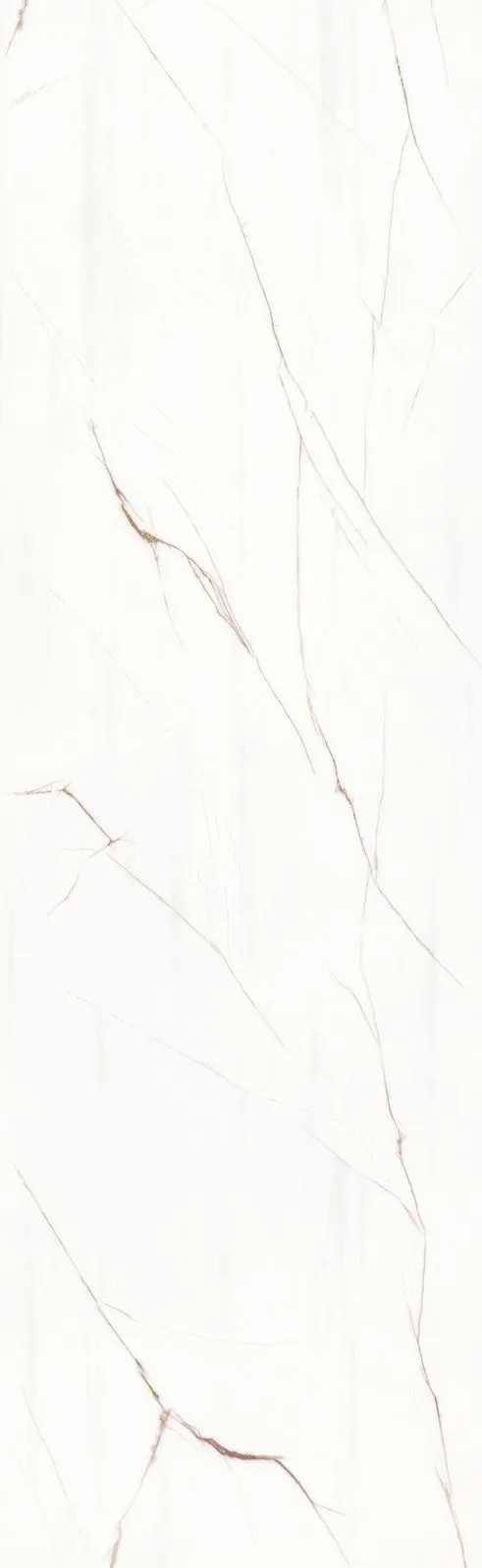 Pearl Oyster JKG826121