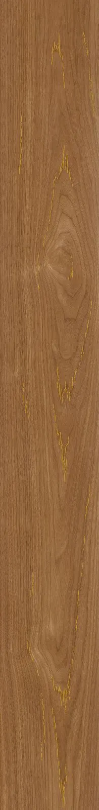 Golden Walnut JKY2218479-4