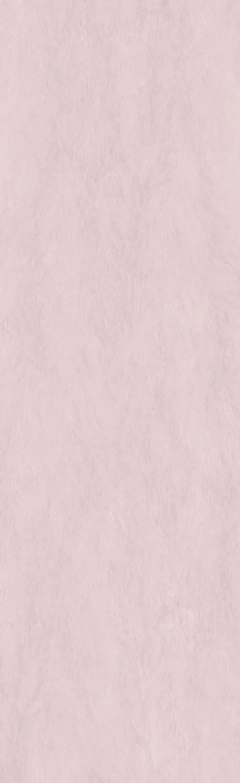 Tulip Pink JKY826099